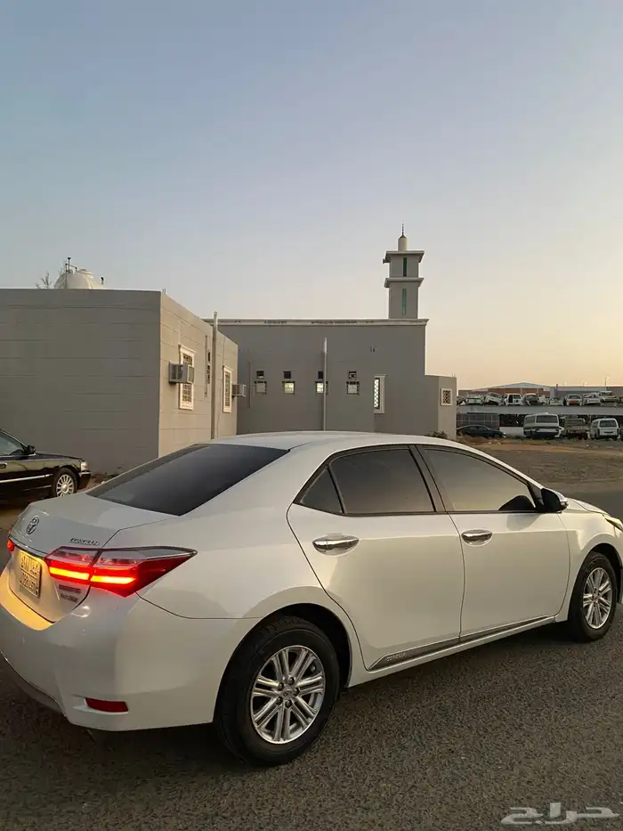 كورلا 2019 ستاندر مطور فتحه سقف 1