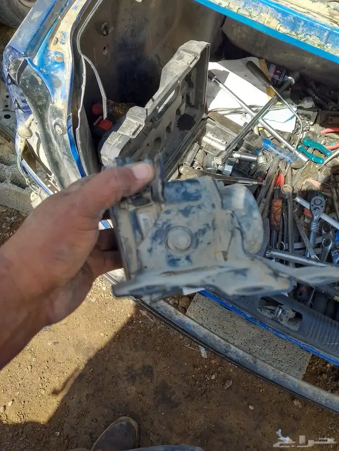 بريفيا 2013 1