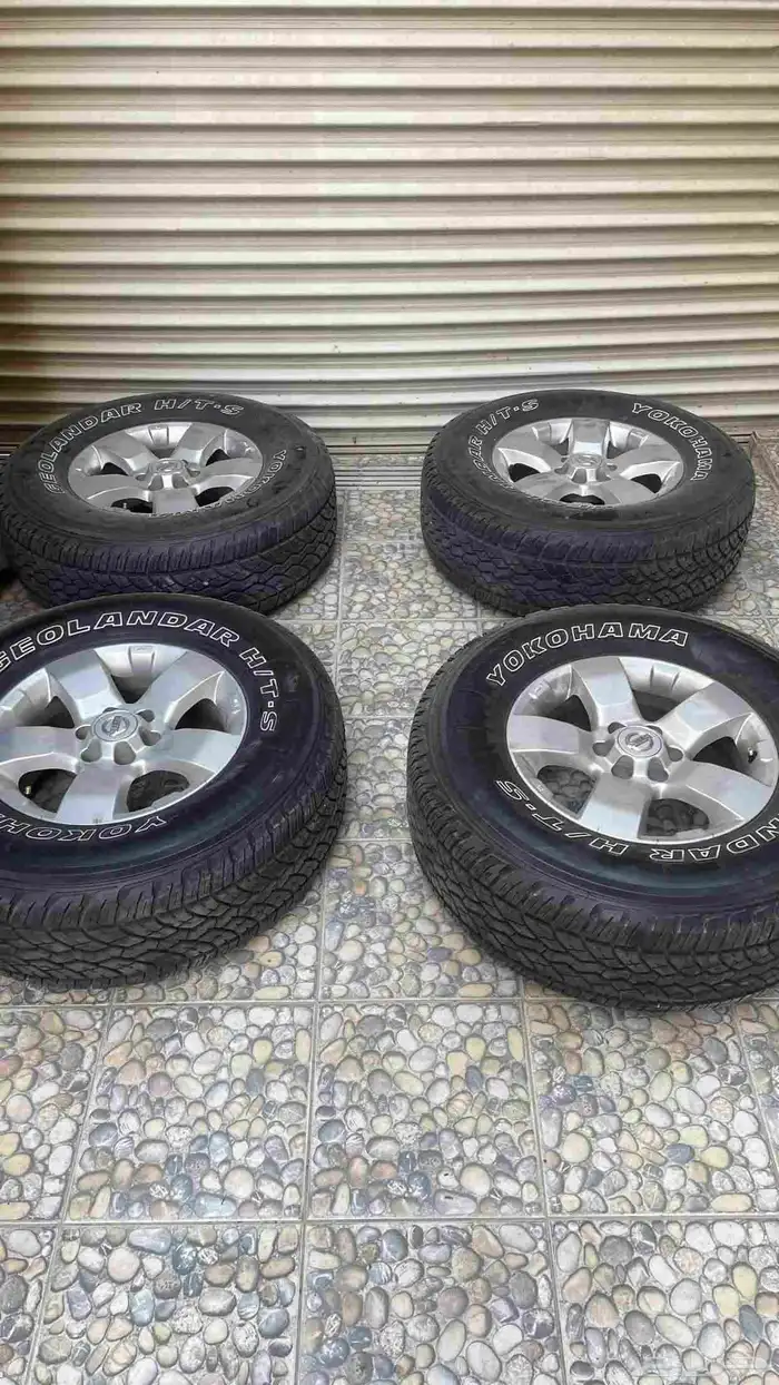 جنوط اكستيرا نجمة 4