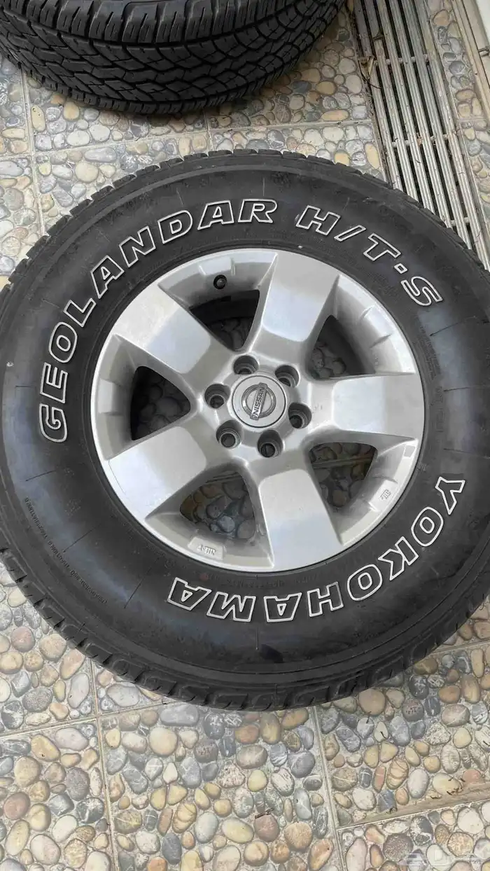 جنوط اكستيرا نجمة 1