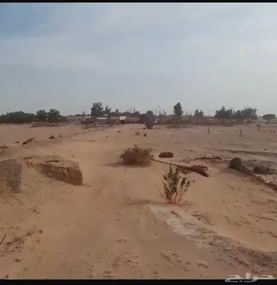 مزرعة للايجار 0