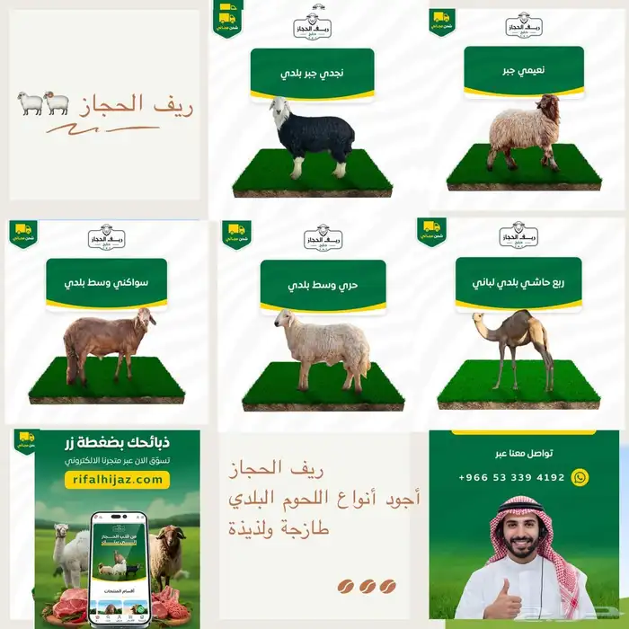 لحوم طازجة ولحوم بلدي100 100 0