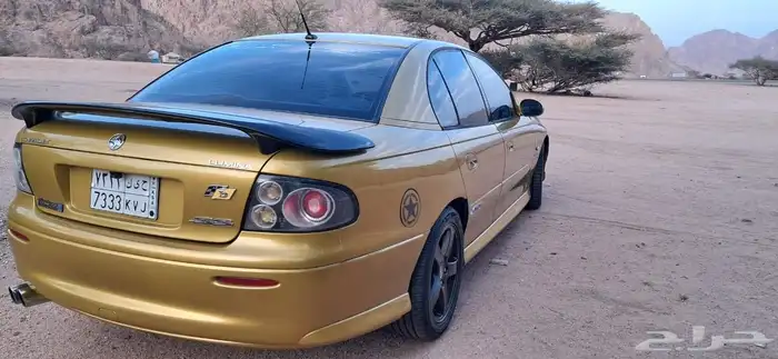 لومينا Ss للبيع 5