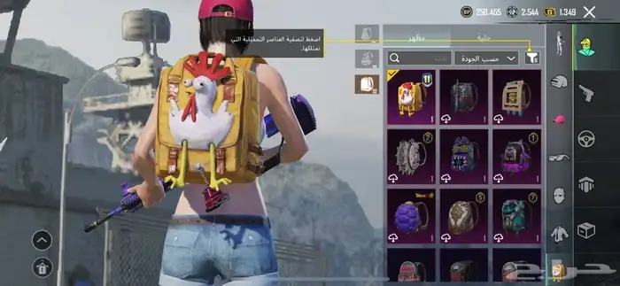 حساب ببجي للبيع 5