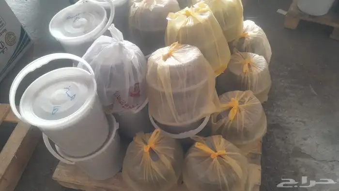 تمور حائل الفاخره 0