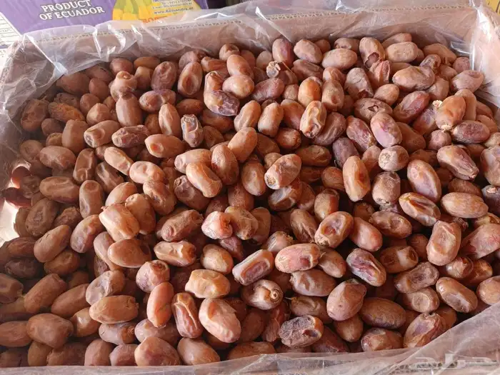 يوجد لدينا جميع انواع النخل خلاص برحي مجدول صقعي هلال شيشي 8