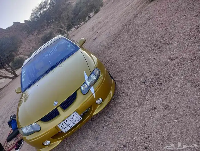 لومينا Ss للبيع 1