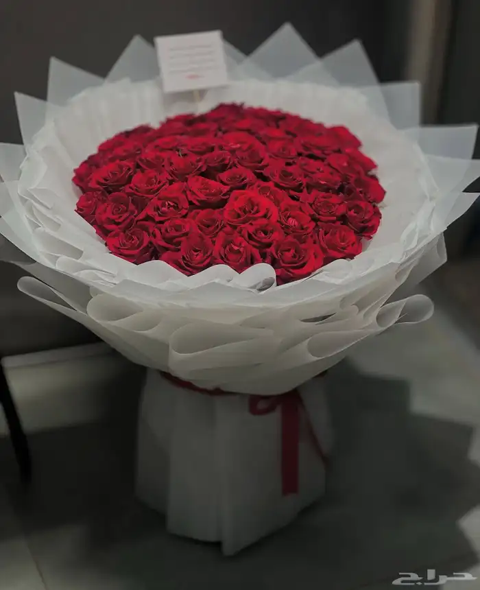 منسق زهور وهدايا ابحث عن عمل 7
