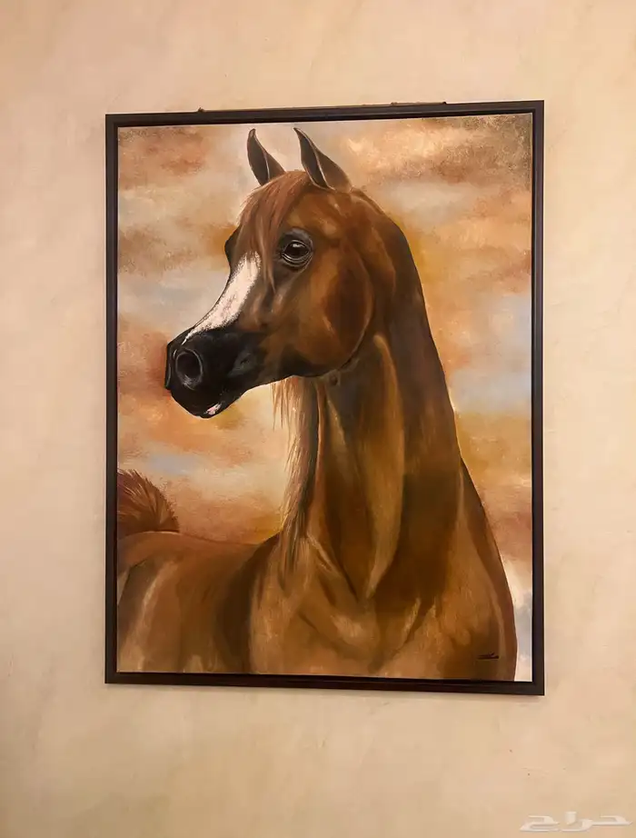 رسمة حصان 0