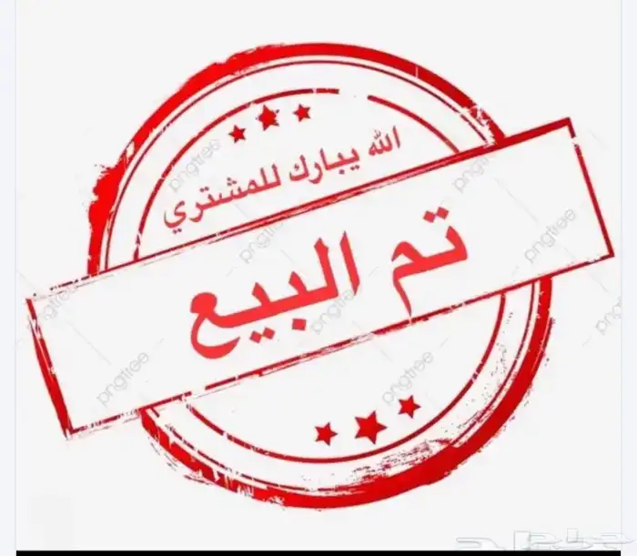 رخل نجدية كفو ( تم البيع ) 3