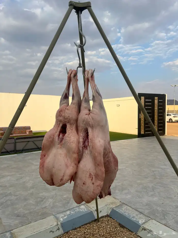 مشويات سورية نجران 1