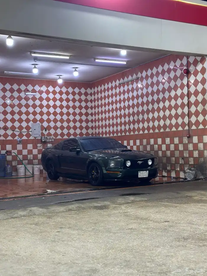 موستنج 2005 V8 نظيف 6