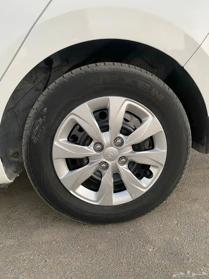 بيجاس 2021 19