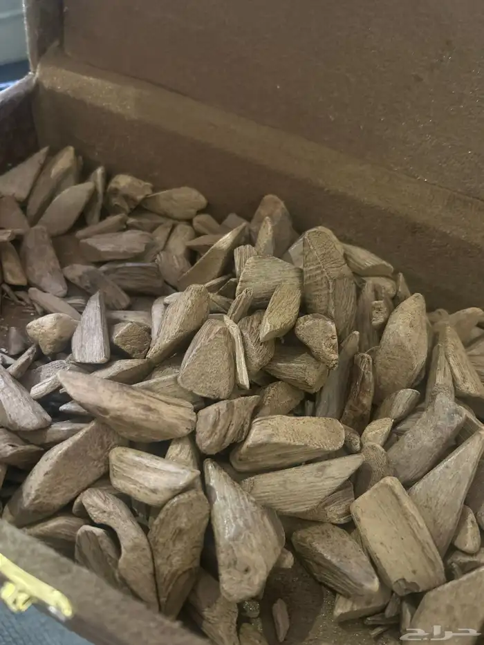 عود كمبودي 0