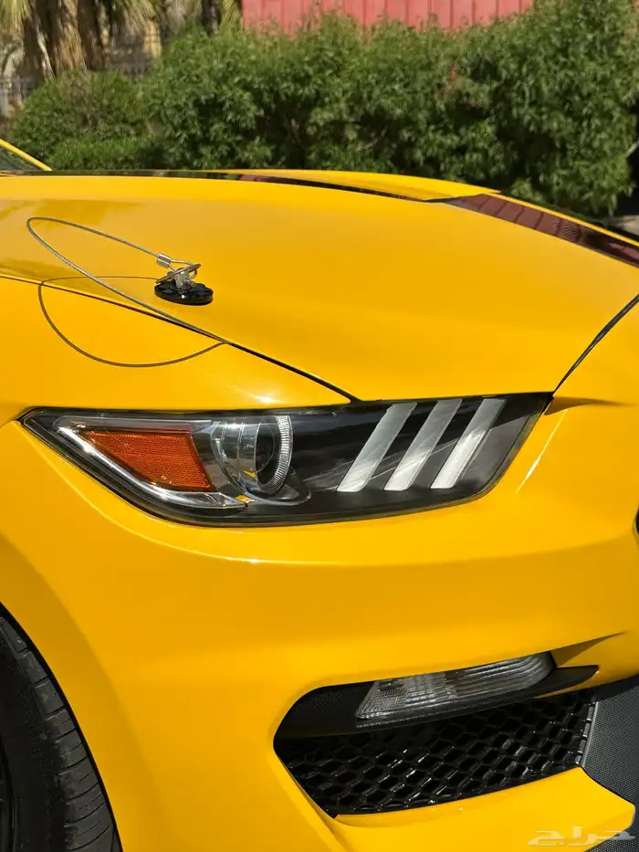 فورد موستنج GT موديل 2015 37