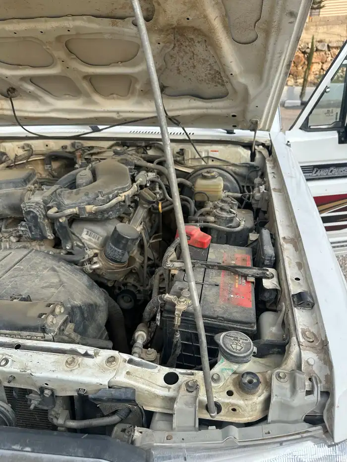 جيب ربع 2020 10