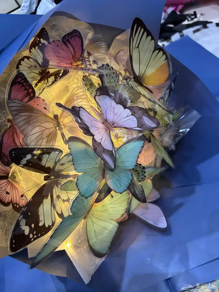 باقه الفراشات 3