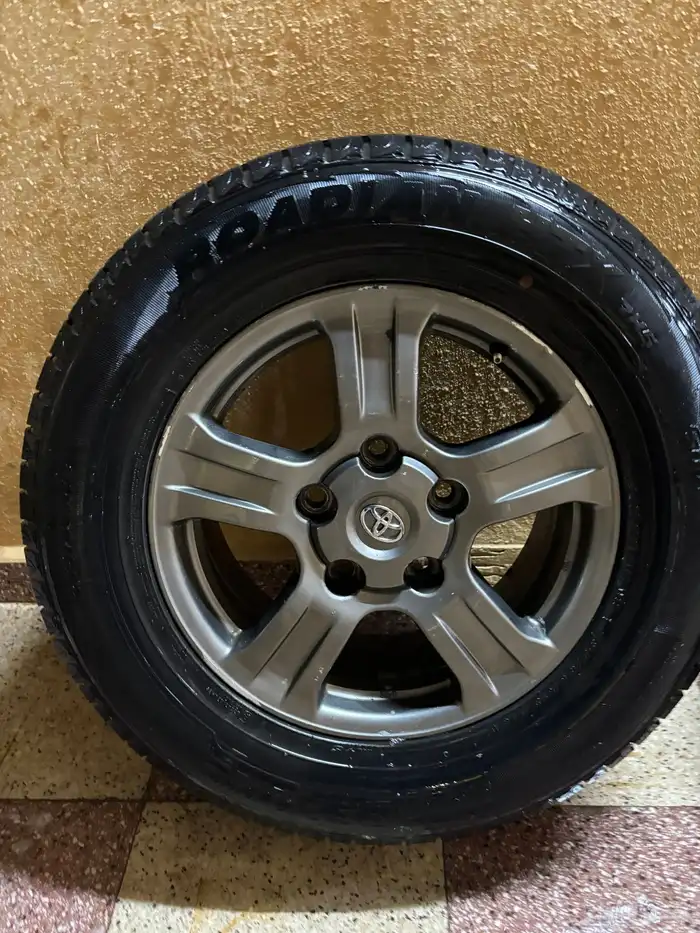 جنوط سكويا2011 مرشوشه و صامل ما نختلف و كفرات شبه جدي 4