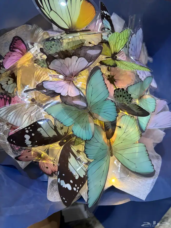 باقه الفراشات 1