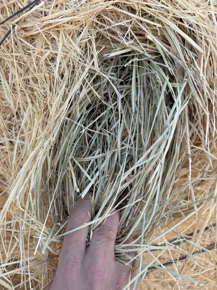 للبيع رودس شد ممتاز 2