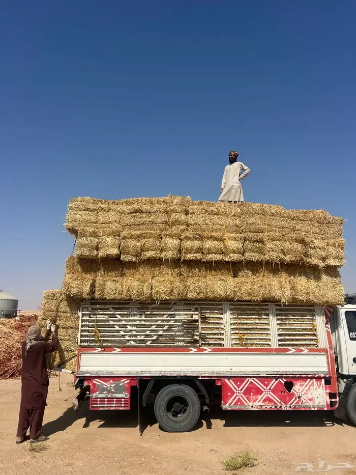 تبن بر صافي 4