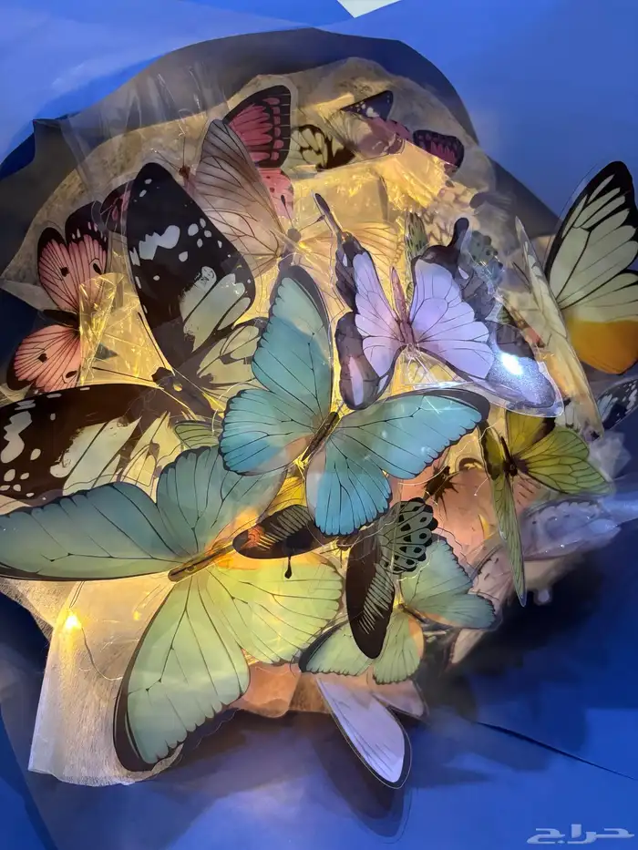 باقه الفراشات 0