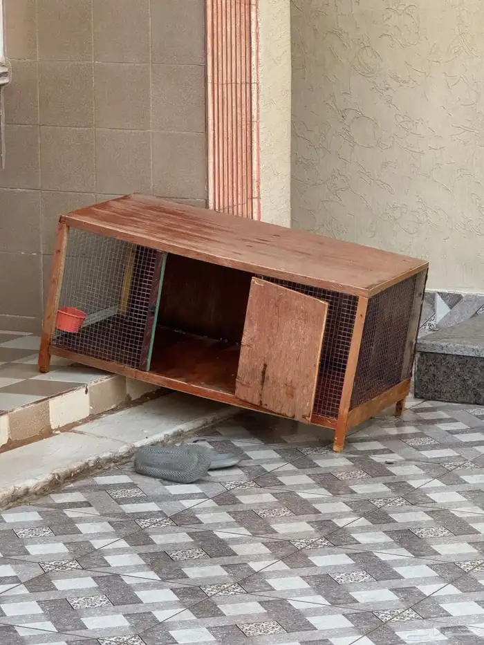 بط بكيني 0