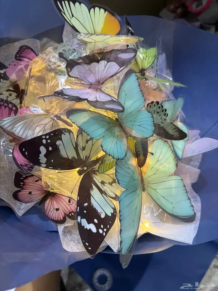 باقه الفراشات 2