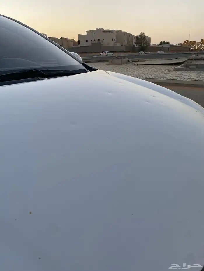 بيجاس 2021 15