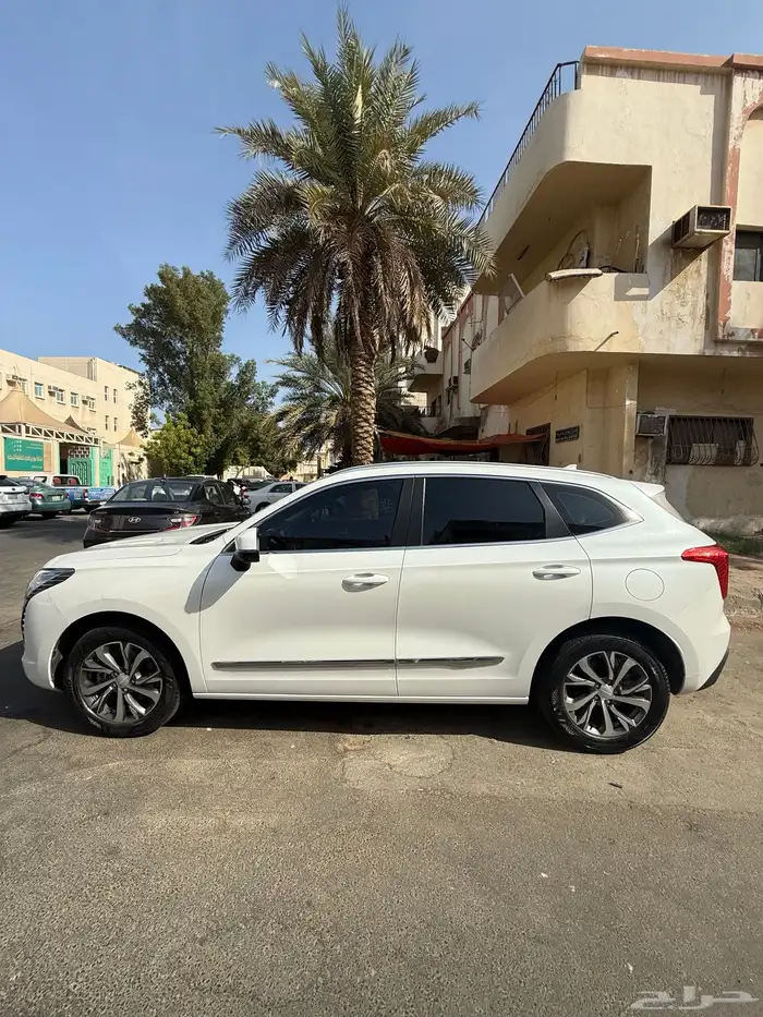 هافال جوليان 2023 4