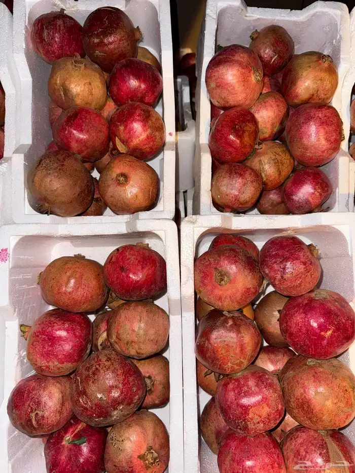 رمان مليداء 0