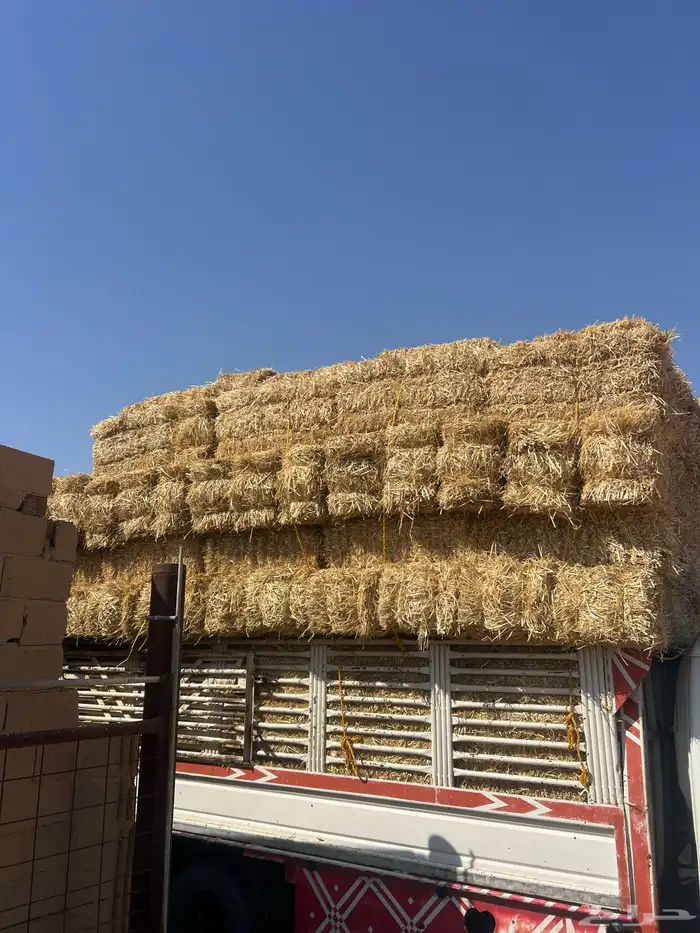 تبن بر صافي 1