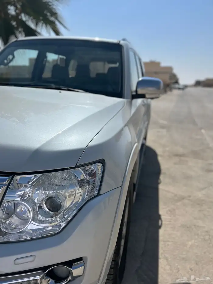 باجيرو. 2016 3