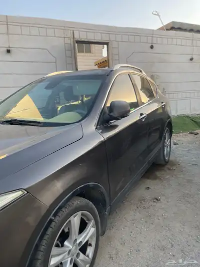 فاو اكس80 بسترن index