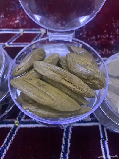 عود ورومي محسن بيور index