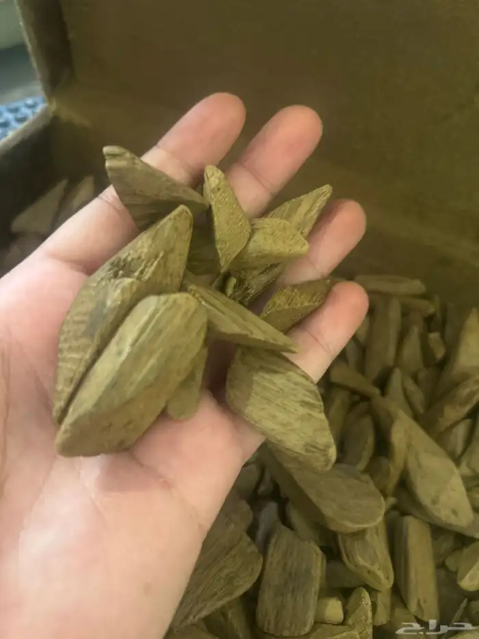 عود كمبودي 1