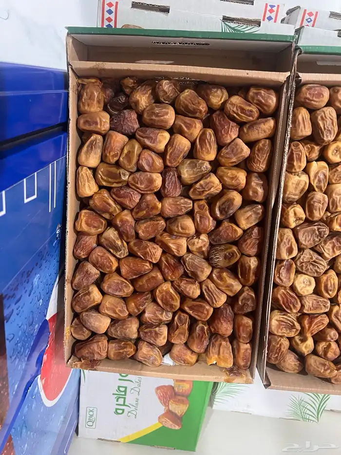 سكري القصيم مفتل 3 كيلو كرتون 0