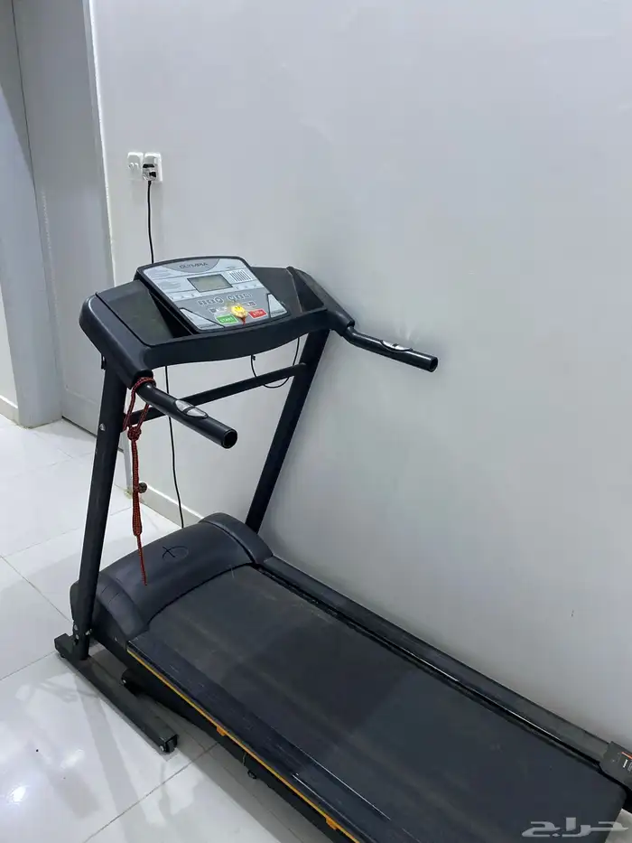 سير وتسريحه للبيع 0