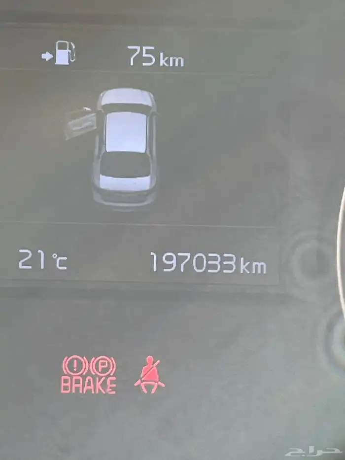 كادينزا مشروطه 5