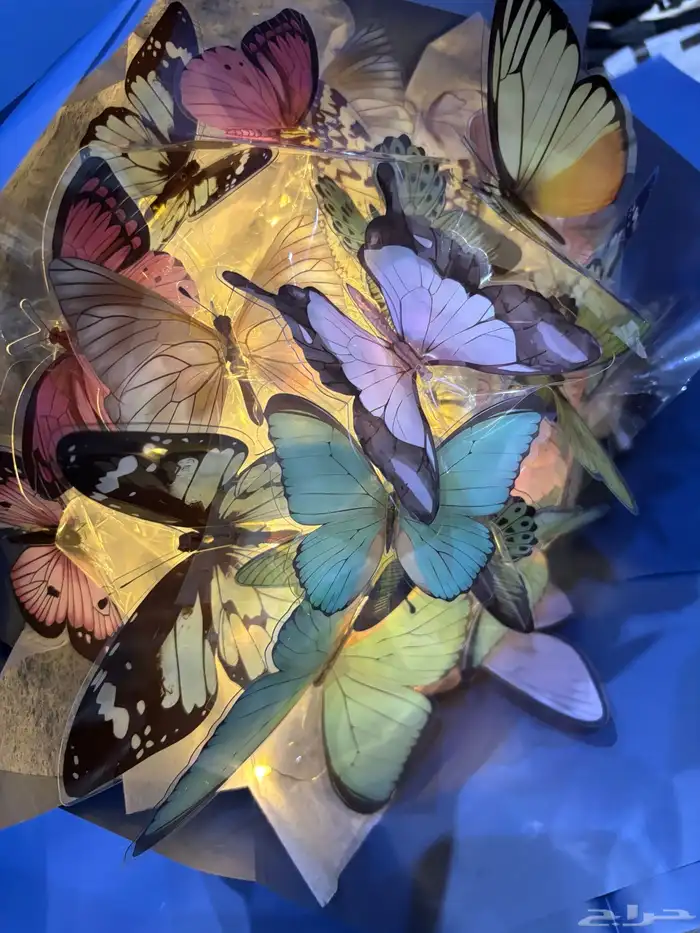 باقه الفراشات 5