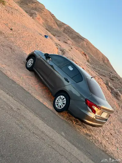 دوج نيون index