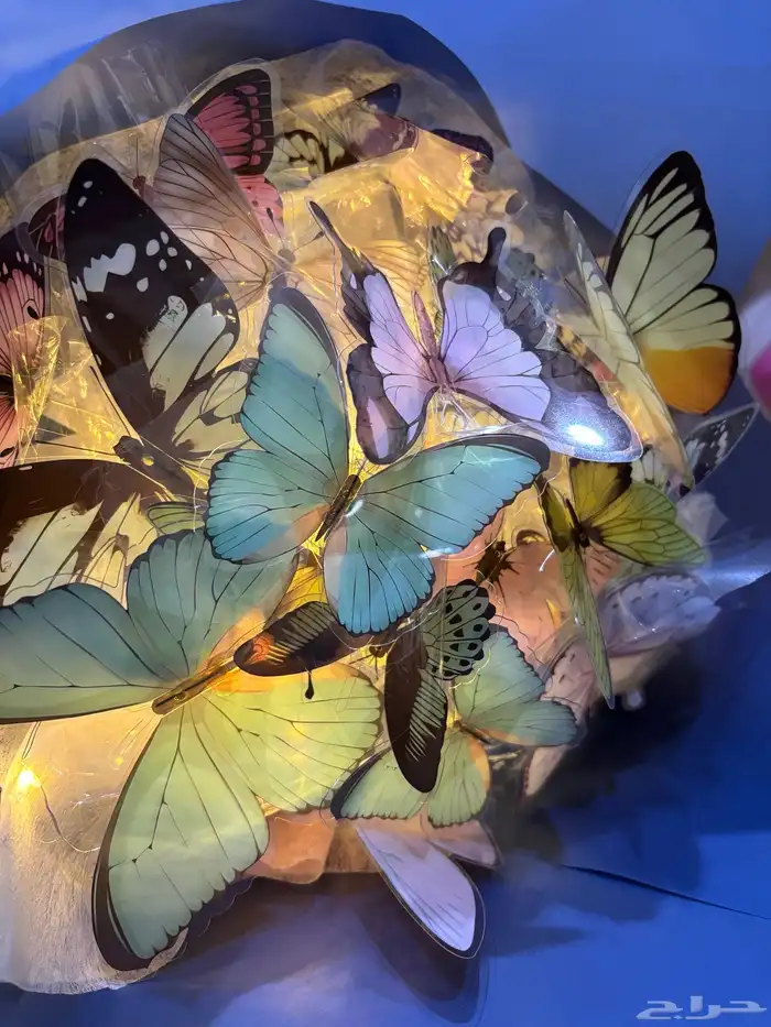 باقه الفراشات 4