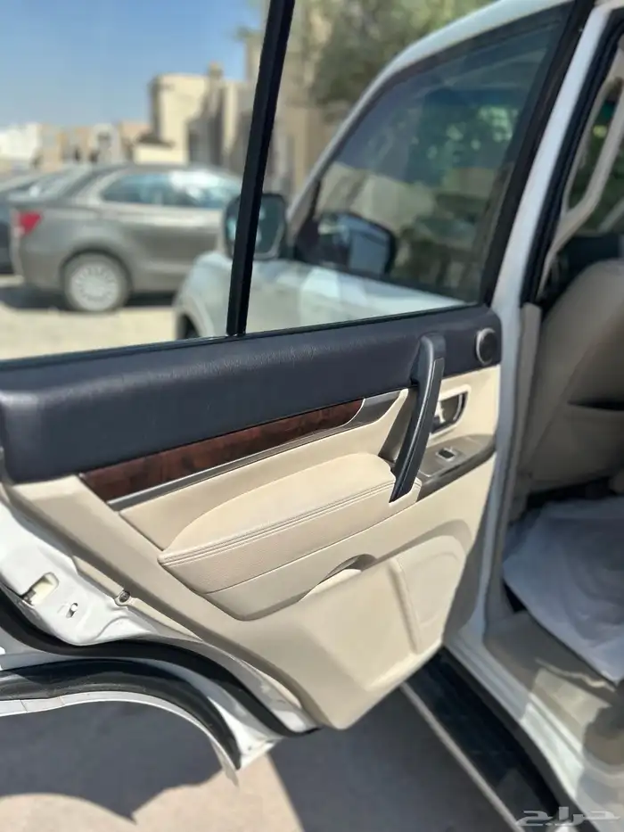 باجيرو. 2016 1