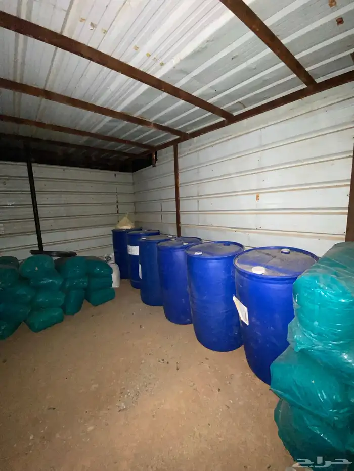 جراكل كبار 0