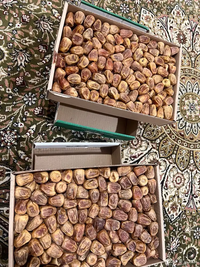 سكري القصيم مفتل 3 كيلو كرتون 3