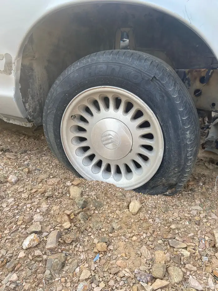 جنوط للبيع اصليه 8