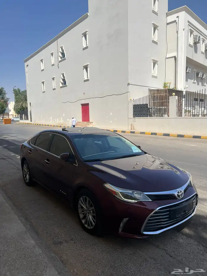 افلون2016 9