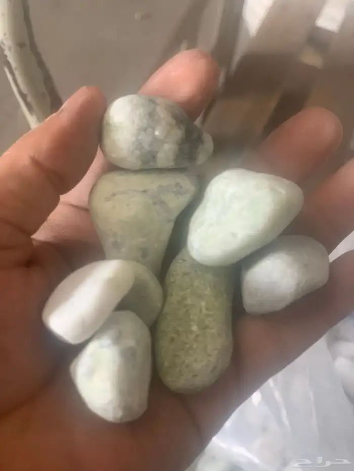 لبيع جميع احجار ازينه 8