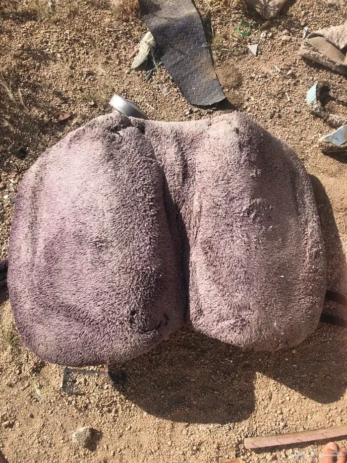 سرج خيل مع جميع اعراضه 4