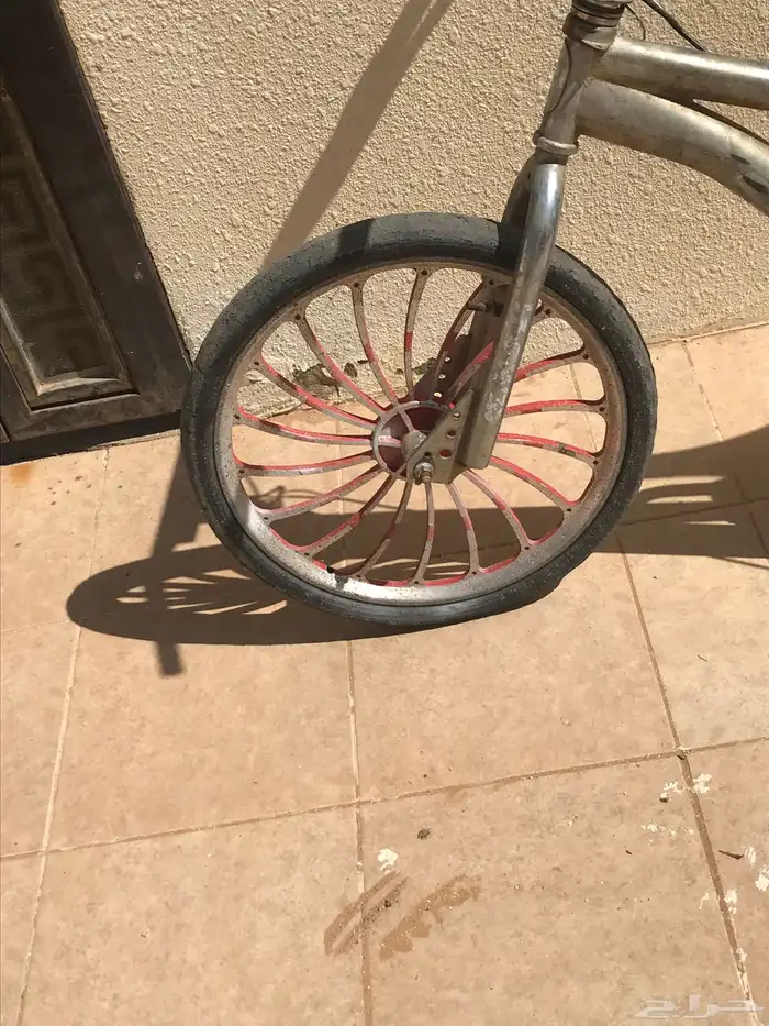 سيكل كوبرا الون رصاصي 1